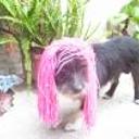 Wilou