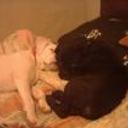 Nena y nano