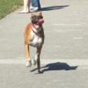 Kilo