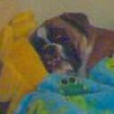 Neron