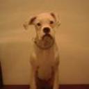 Nena