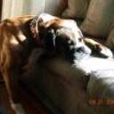 Athos