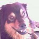 Jorgito