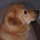 Turron