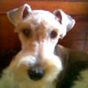 Almendra