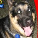 Samson
