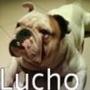 Lucho