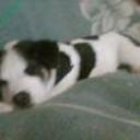 Thyson