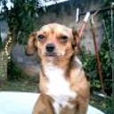 Chuchi