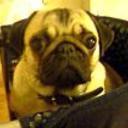 Lola