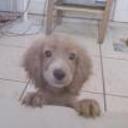 Tobby