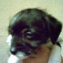 Chicho