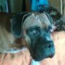 Roko