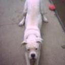Nena