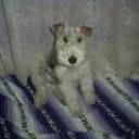 Athos