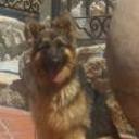 Lola