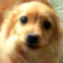 Wily