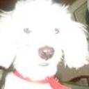Trosky