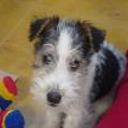 Athos