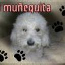Muñeca