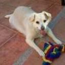 Sheyla