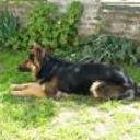 Kayser