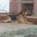 Rocky