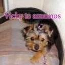 Vicky