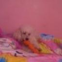 Sussy carolina