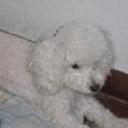 Lola
