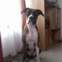 Fiona