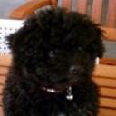 Norah