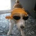 Baxter