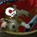 Baxter