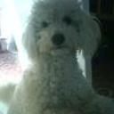 Starky