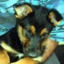 Jony