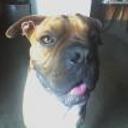 Zoe