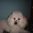 Lucy
