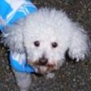 Tuky