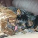 Nina y nona