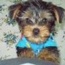 Facu