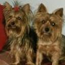Fany y brenda