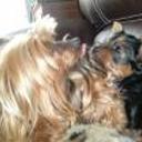 Nina y nona