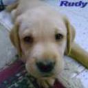 Rudy