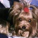 Brenda