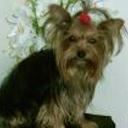 Brenda