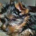 Nona