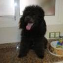 Luky