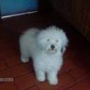 Symon