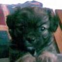 Ramiro